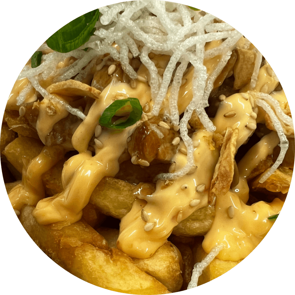chicken teriyaki loaded fries in tilburg